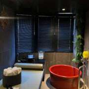 ヒメ日記 2024/12/21 17:31 投稿 みゆ シャブール