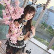 ヒメ日記 2025/03/20 14:41 投稿 みゆ シャブール