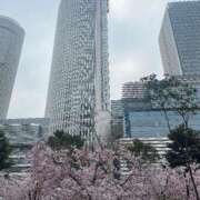 ヒメ日記 2025/03/27 13:49 投稿 みゆ シャブール