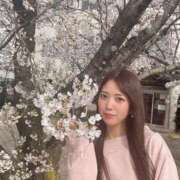 ヒメ日記 2025/04/07 07:01 投稿 みゆ シャブール