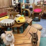 ヒメ日記 2025/09/28 18:15 投稿 みゆ シャブール