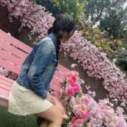 ヒメ日記 2026/03/16 12:20 投稿 みゆ シャブール