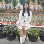 ヒメ日記 2026/04/04 15:31 投稿 みゆ シャブール