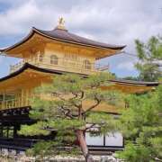 ヒメ日記 2025/01/24 22:49 投稿 ゆきの★ レースクィーン