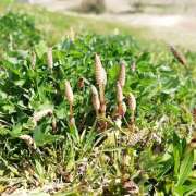 ヒメ日記 2025/02/16 22:01 投稿 ゆきの★ レースクィーン