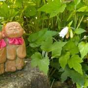 ヒメ日記 2025/03/11 22:26 投稿 ゆきの★ レースクィーン