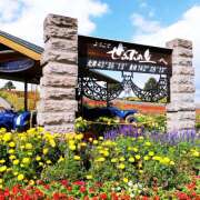 ヒメ日記 2025/04/24 22:03 投稿 ゆきの★ レースクィーン