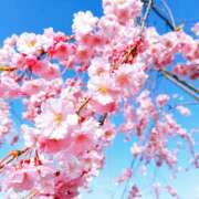 ヒメ日記 2025/04/29 22:11 投稿 ゆきの★ レースクィーン