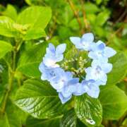 ヒメ日記 2025/05/16 20:56 投稿 ゆきの★ レースクィーン