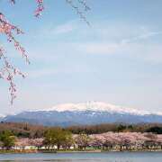 ヒメ日記 2025/05/28 22:20 投稿 ゆきの★ レースクィーン