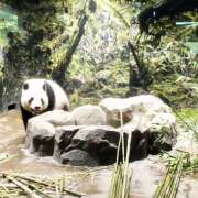 ヒメ日記 2025/06/22 22:39 投稿 ゆきの★ レースクィーン