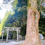 ヒメ日記 2025/06/26 22:35 投稿 ゆきの★ レースクィーン