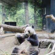 ヒメ日記 2025/06/27 22:29 投稿 ゆきの★ レースクィーン