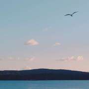 ヒメ日記 2025/07/20 22:40 投稿 ゆきの★ レースクィーン