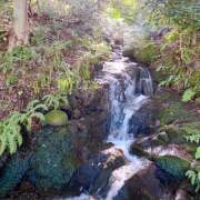 ヒメ日記 2025/07/24 07:01 投稿 ゆきの★ レースクィーン