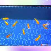 ヒメ日記 2025/08/10 22:03 投稿 ゆきの★ レースクィーン