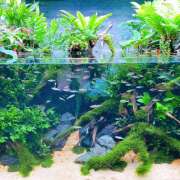 ヒメ日記 2025/08/14 22:19 投稿 ゆきの★ レースクィーン