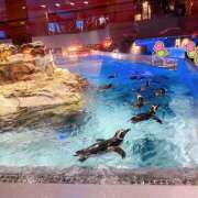 ヒメ日記 2025/08/27 22:17 投稿 ゆきの★ レースクィーン