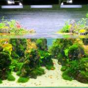 ヒメ日記 2025/09/11 22:02 投稿 ゆきの★ レースクィーン