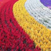 ヒメ日記 2025/09/14 23:08 投稿 ゆきの★ レースクィーン