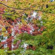 ヒメ日記 2025/09/18 22:03 投稿 ゆきの★ レースクィーン