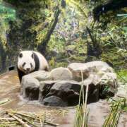 ヒメ日記 2025/09/23 22:01 投稿 ゆきの★ レースクィーン