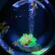 ヒメ日記 2025/11/06 00:19 投稿 ゆきの★ レースクィーン