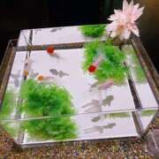 ヒメ日記 2025/11/16 22:02 投稿 ゆきの★ レースクィーン