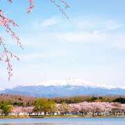 ヒメ日記 2026/03/01 01:33 投稿 ゆきの★ レースクィーン