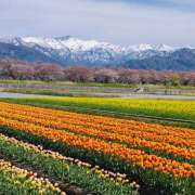 ヒメ日記 2026/04/17 22:24 投稿 ゆきの★ レースクィーン