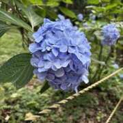 ヒメ日記 2025/07/05 19:30 投稿 なぎさ 若妻淫乱倶楽部 久喜店