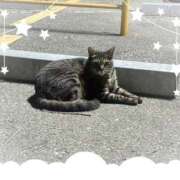 ヒメ日記 2025/08/09 19:30 投稿 なぎさ 若妻淫乱倶楽部 久喜店