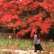 ヒメ日記 2025/11/25 08:40 投稿 なぎさ 若妻淫乱倶楽部 久喜店