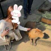 ヒメ日記 2024/12/08 23:38 投稿 瑞樹(みずき) 京都泡洗体ハイブリッドエステ