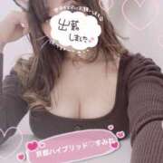 ヒメ日記 2025/03/01 20:10 投稿 純蓮(すみれ) 京都泡洗体ハイブリッドエステ