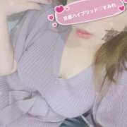 純蓮(すみれ) お久しぶりの🐶 京都泡洗体ハイブリッドエステ