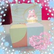 ヒメ日記 2024/12/29 22:42 投稿 のあ スイカ