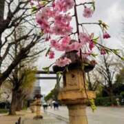 ヒメ日記 2025/04/07 18:02 投稿 アスカ トマトなび