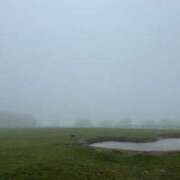 ヒメ日記 2025/05/11 21:12 投稿 アスカ トマトなび