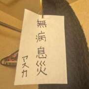 ヒメ日記 2025/07/07 16:45 投稿 アスカ トマトなび