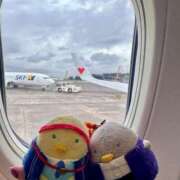 ヒメ日記 2025/07/17 17:55 投稿 アスカ トマトなび