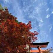 ヒメ日記 2025/10/03 17:56 投稿 アスカ トマトなび