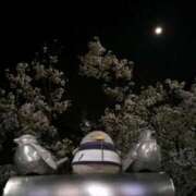 ヒメ日記 2026/03/19 17:52 投稿 アスカ トマトなび