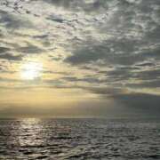 ヒメ日記 2026/03/26 17:51 投稿 アスカ トマトなび