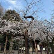 ヒメ日記 2026/03/30 17:48 投稿 アスカ トマトなび