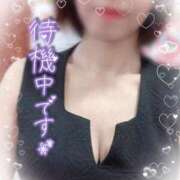 ヒメ日記 2025/02/11 10:46 投稿 きょうこ トマトなび