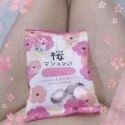 ヒメ日記 2025/03/02 09:10 投稿 きょうこ トマトなび