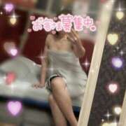 ヒメ日記 2025/03/06 12:32 投稿 きょうこ トマトなび