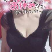 ヒメ日記 2025/03/13 08:29 投稿 きょうこ トマトなび