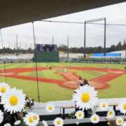 ヒメ日記 2025/03/16 07:46 投稿 きょうこ トマトなび